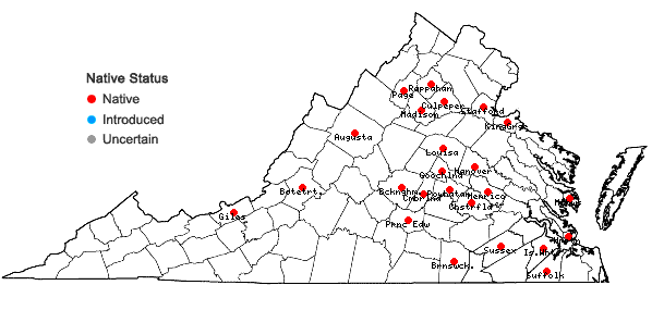 Locations ofPlatydictya subtilis (Hedw.) H.A. Crum in Virginia