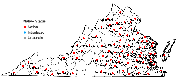 Locations ofPlatygyrium repens (Brid.) Schimp. in Virginia