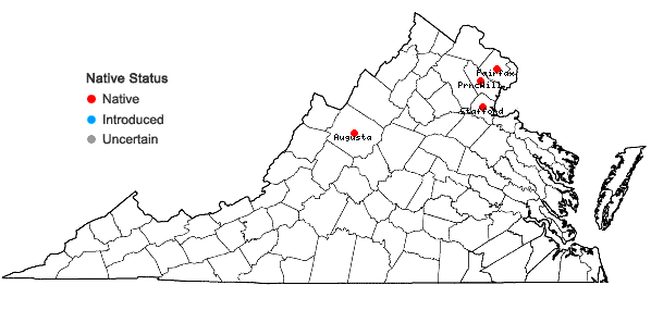 Locations ofPleuridium acuminatum Lindb. in Virginia