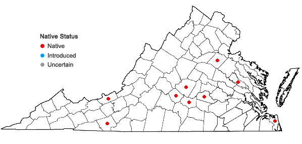 Locations ofPleuridium subulatum (Hedw.) Rabenh. in Virginia
