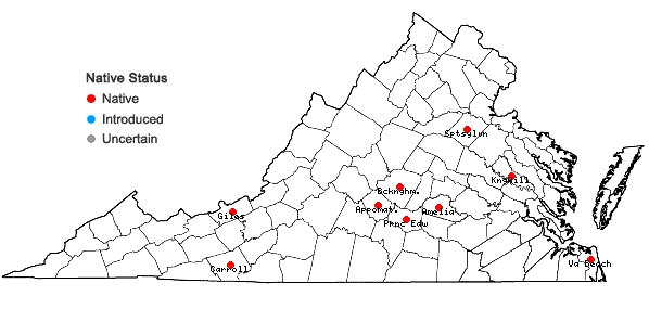 Locations ofPleuridium subulatum (Hedw.) Rabenh. in Virginia