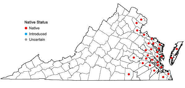 Locations ofPluchea odorata (L.) Cass. in Virginia