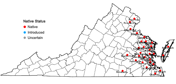 Locations ofPluchea odorata (L.) Cass. in Virginia