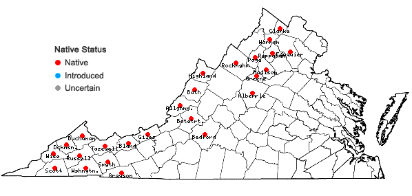 Locations ofPoa alsodes Gray in Virginia