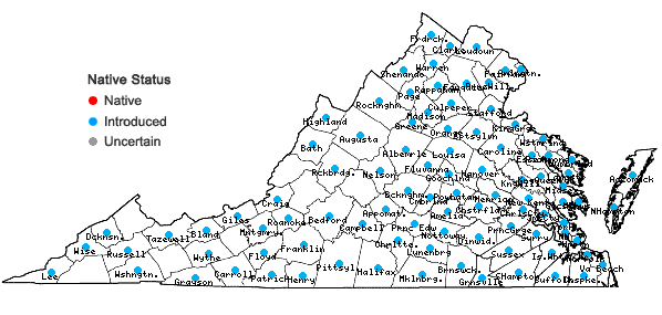 Locations ofPoa annua L. in Virginia