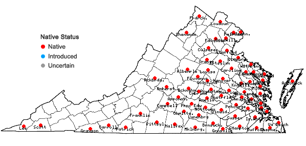 Locations ofPoa autumnalis Muhl. ex Ell. in Virginia