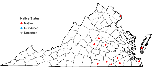 Locations ofPoa chapmaniana Scribn. in Virginia