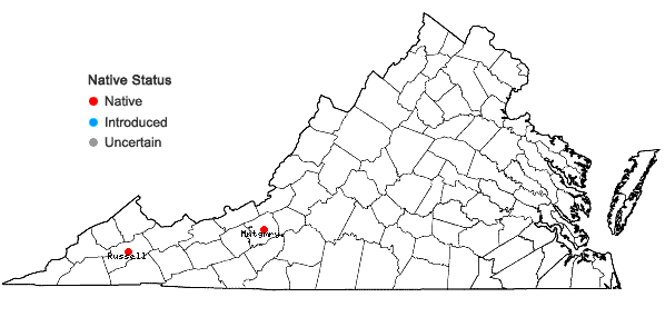 Locations ofPoa languida Hitchc. in Virginia