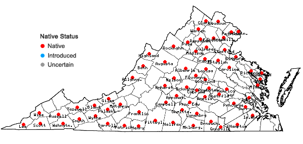 Locations ofPoa sylvestris Gray in Virginia