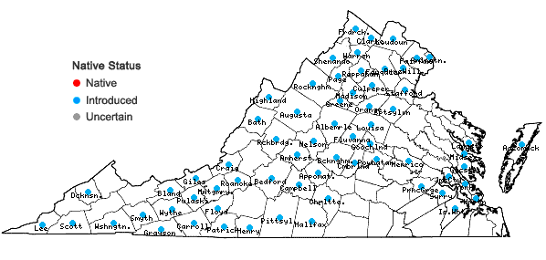 Locations ofPoa trivialis L. ssp. trivialis in Virginia