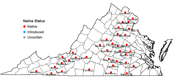 Locations ofPodostemum ceratophyllum Michx. in Virginia