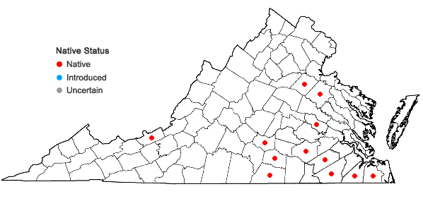 Locations ofPogonatum brachyphyllum (Michx.) P. Beauv.  in Virginia