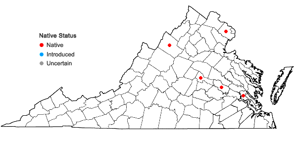 Locations ofPohlia annotina (Hedw.) Lindb. in Virginia