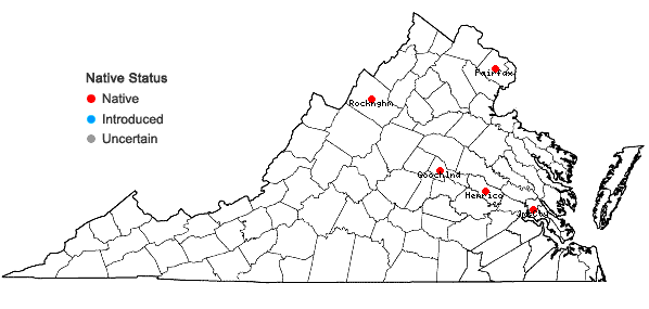 Locations ofPohlia annotina (Hedw.) Lindb. in Virginia