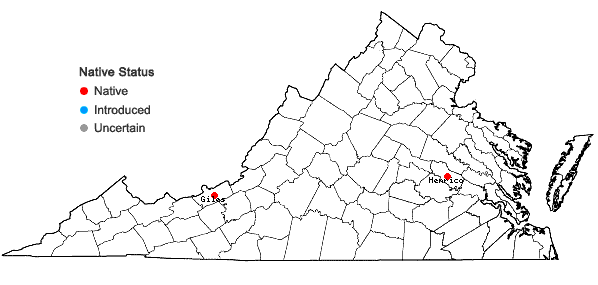 Locations ofPohlia camptotrachela (Renauld & Cardot) Broth. in Virginia