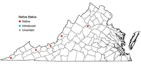 Locations ofPohlia cruda (Hedw.) Lindb. in Virginia