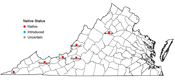 Locations ofPohlia cruda (Hedw.) Lindb. in Virginia