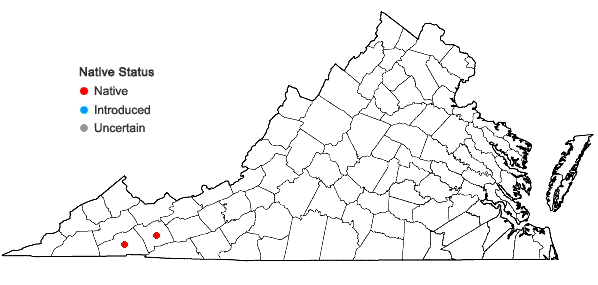 Locations ofPohlia melanodon (Brid.) A.J. Shaw in Virginia