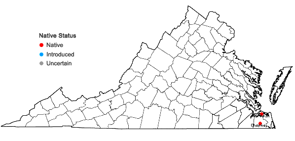 Locations ofPohlia proligera (Kindb.) Lindb. ex Arnell in Virginia