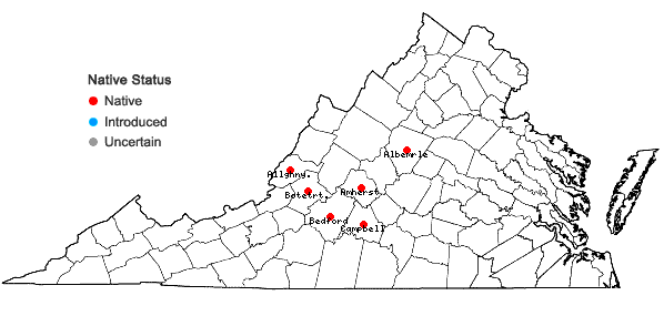 Locations ofPolanisia dodecandra (L.) A. DC. var. dodecandra in Virginia