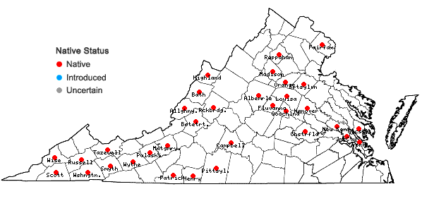 Locations ofPolemonium reptans L. var. reptans in Virginia