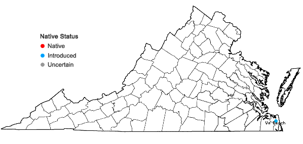 Locations ofPolycarpon tetraphyllum (L.) L. in Virginia