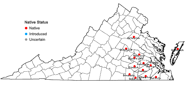 Locations ofPolygala cruciata L. var. cruciata in Virginia