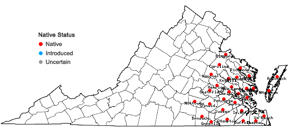 Locations ofPolygala lutea L. in Virginia