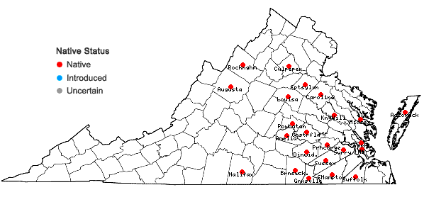 Locations ofPolygala nuttallii Torr. & Gray in Virginia
