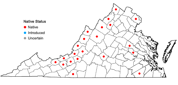 Locations ofPolygala polygama Walt. in Virginia