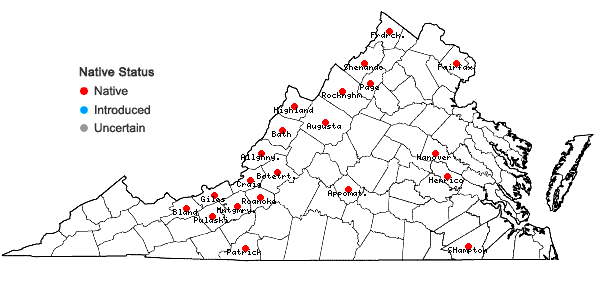Locations ofPolygala polygama Walt. in Virginia