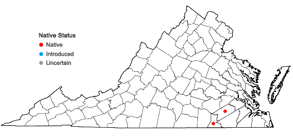 Locations ofPolygala ramosa Ell. in Virginia