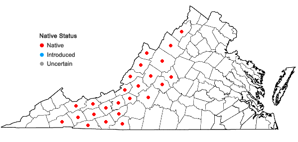 Locations ofPolygaloides paucifolia (Willd.) J.R. Abbott in Virginia