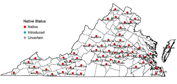 Locations ofPolygonatum biflorum (Walt.) Ell. var. biflorum in Virginia