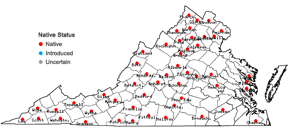 Locations ofPolygonum erectum L. in Virginia
