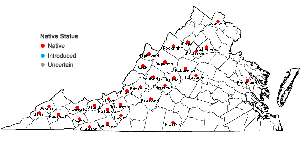 Locations ofPolypodium appalachianum Haufler & Windham in Virginia