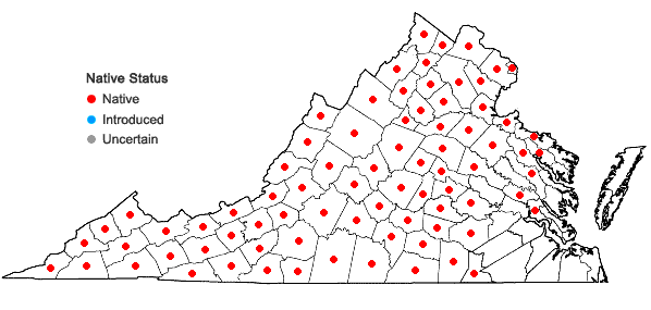 Locations ofPolypodium virginianum complex in Virginia
