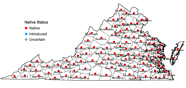 Locations ofPolystichum acrostichoides (Michx.) Schott in Virginia