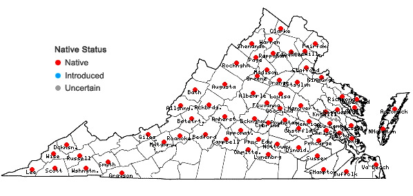 Locations ofPolytrichastrum ohioense (Renauld & Cardot) G.L. Sm. in Virginia