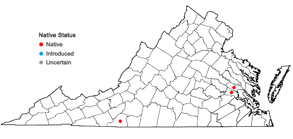 Locations ofPolytrichum commune Hedwig var. perigoniale (Michx.) Hampe in Virginia