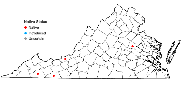 Locations ofPolytrichum strictum Bridel in Virginia