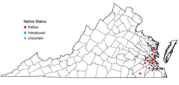 Locations ofPonthieva racemosa (Walt.) C. Mohr in Virginia