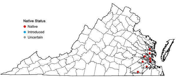 Locations ofPonthieva racemosa (Walt.) C. Mohr in Virginia