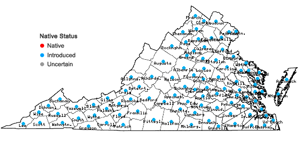 Locations ofPopulus alba L. in Virginia