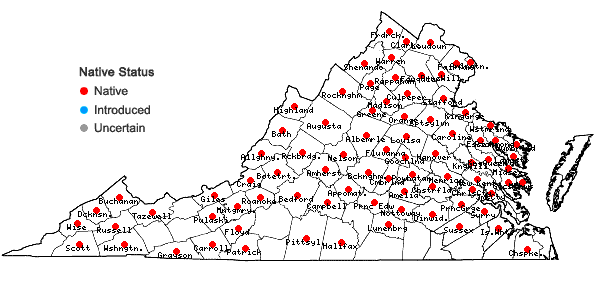 Locations ofPopulus grandidentata Michx. in Virginia