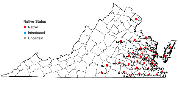 Locations ofPopulus heterophylla L. in Virginia