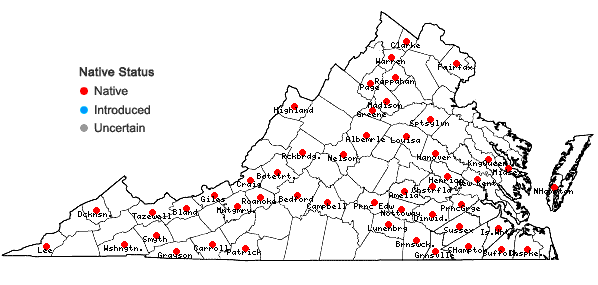Locations ofPorella pinnata Linnaeus in Virginia