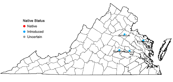 Locations ofPortulaca grandiflora Hook. in Virginia