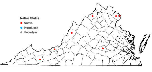 Locations ofPotamogeton amplifolius Tuckerman in Virginia