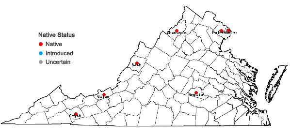 Locations ofPotamogeton amplifolius Tuckerman in Virginia